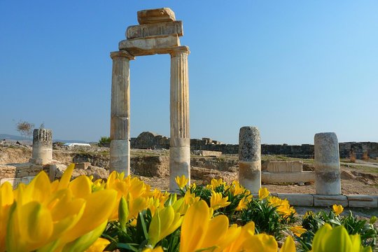 Tour image 11